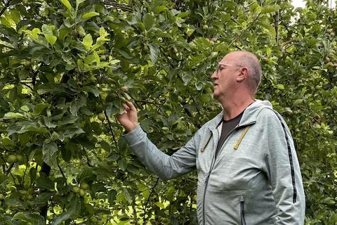 Obstbau Schweiz, Pierre Dorsaz überprüft seine Obstplantage