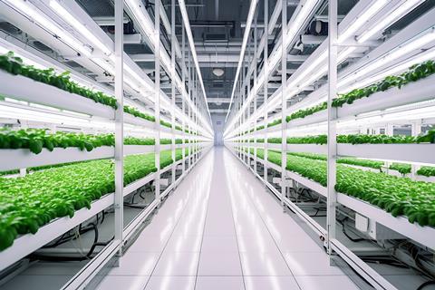 Vertikal Indoor-Farming