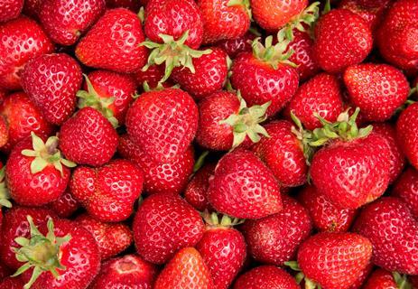 Hall Hunter grows a range of strawberries and other soft fruit