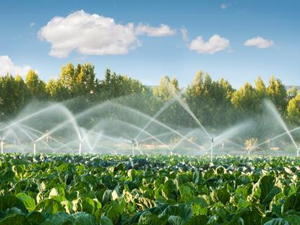 Climate change has made investment in irrigation systems increasingly important