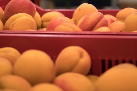 Aprikosen in Frankreich in der Packstation