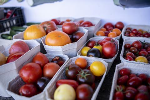 Unterschiedliche Tomatensorten in Schalen