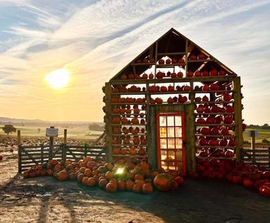 Pumpkin House at Farmer Copleys