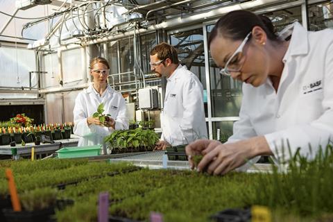 BASF-Gewächshaus Research Triangle Park Nordamerika