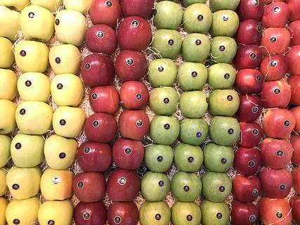 Range of different coloured apples