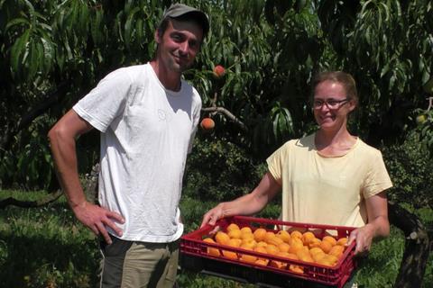 Die Obsterzeuger Bettina und Georg Arnold engagieren sich im Projekt Insektenfördernde Regionen der Bodensee-Stiftung -  Bodensee-Stiftung