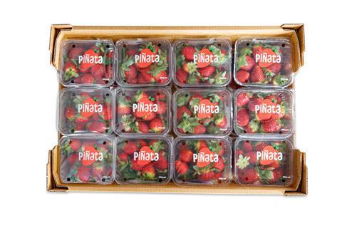 Piñata Farms strawberry brand refresh