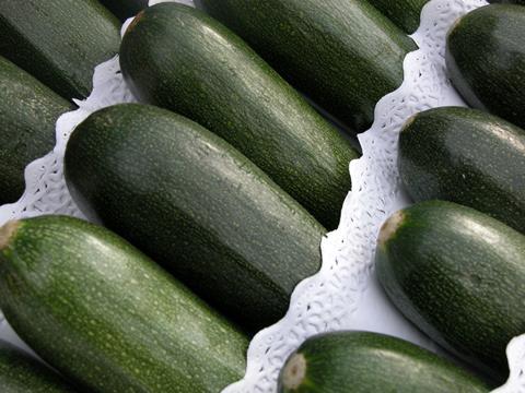 Spanien Zucchini - W. Schmidt