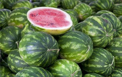 Emilia Romagna: Wassermelonen mit dem Prädikat ggA ausgezeichnet