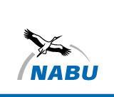 logo_nabu.jpg