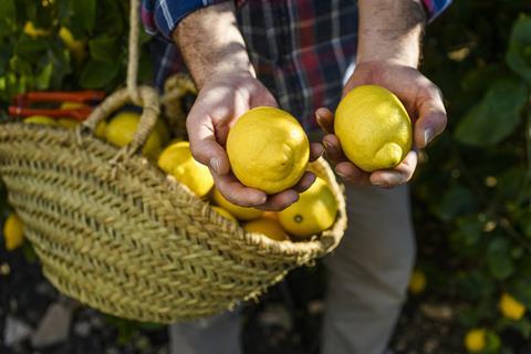 Foto: Lemon from Spain