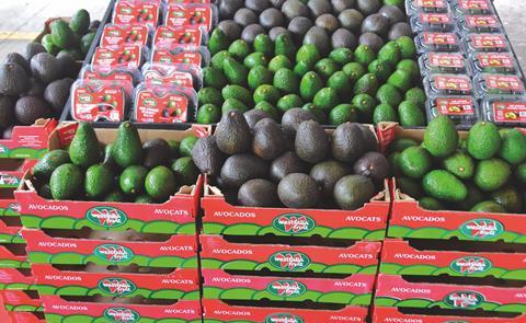 Westfalia avocado products