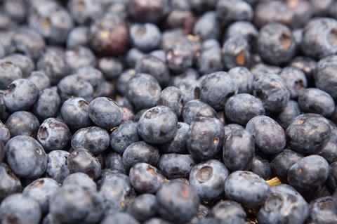 009Fruit_Logistika_08.jpg