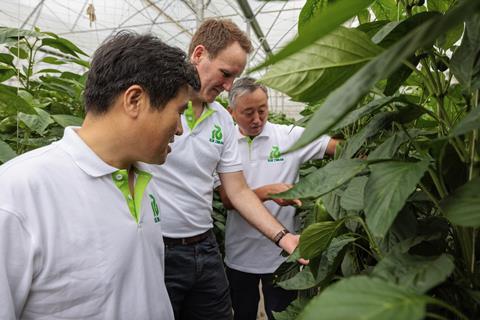 Rijk Zwaan SEA greenhouse visit