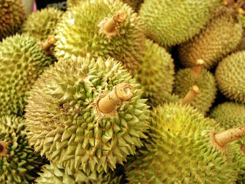 马来西亚将于 2024 年第三季度开始向中国出口榴莲 | 文章 – Fruitnet