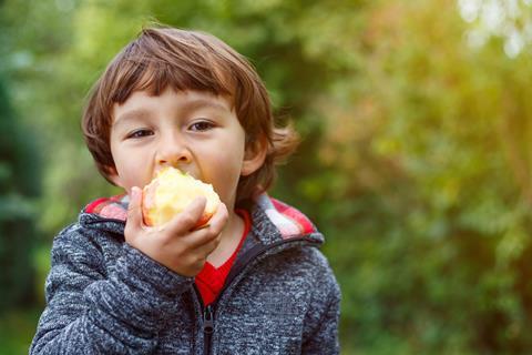 Boy eating apple