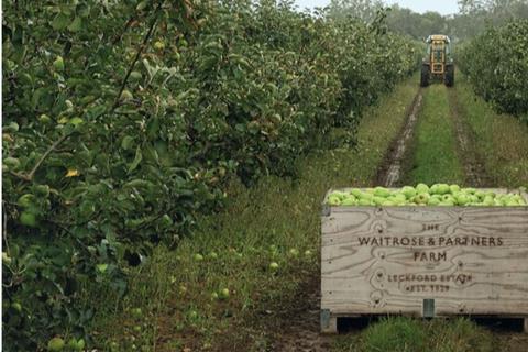 Sales of British apples are rising at Waitrose