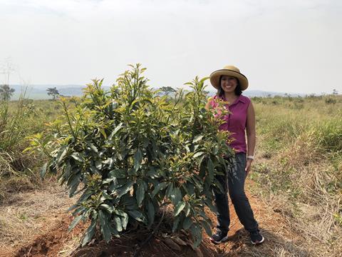 Aliya Hajee has been at the forefront of efforts to boost exports of Ugandan Hass to Europe