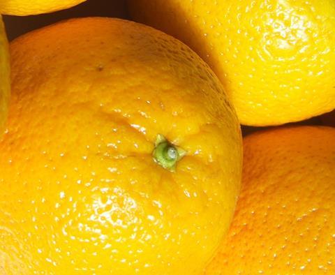 Brasilien prognostiziert starken Rückgang bei Orangen