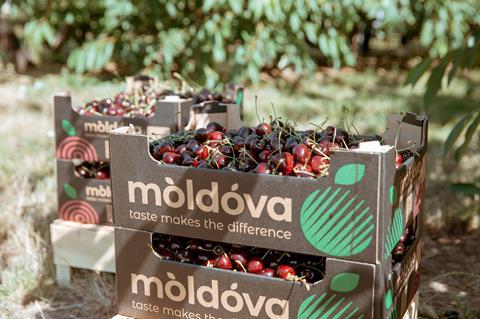 Moldova Fruct cherries