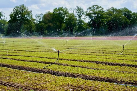 25-10-16-klimaplattform-ogk