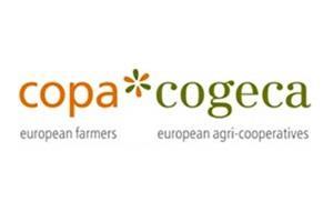 Copa Cogeca: Landwirtschaft bleibt wesentliches Thema für das nächste EU-Parlament