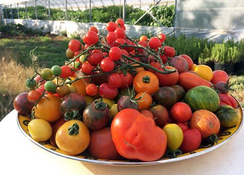 Die Zuchtergebnisse bei den Tomaten sorgen für eine große Sortenvielfalt. (Foto: Marktcheck)