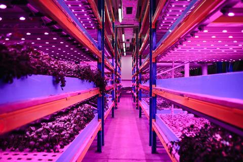 Cities should embrace vertical farming, report advises