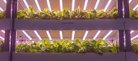 De Lettuce Bear's vertical farm in Malaysia