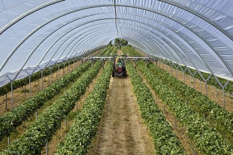 5ML John Deere Tractor at Mountford Berries