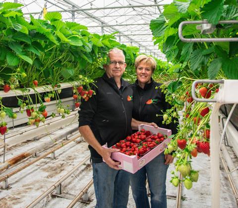 Mario and Jessica Hellemons Brabant strawberries The Greenery Botany