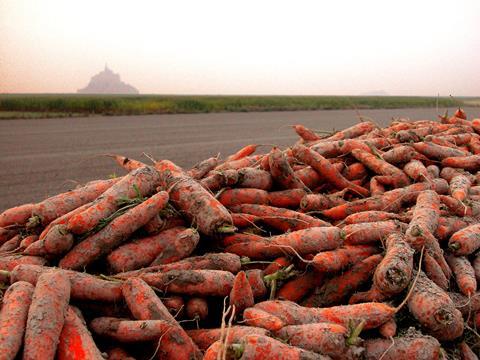 Französische Karotten, angebaut mit Blick auf Mont Saint Michel