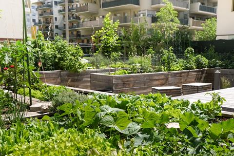 The report advocates more community growing