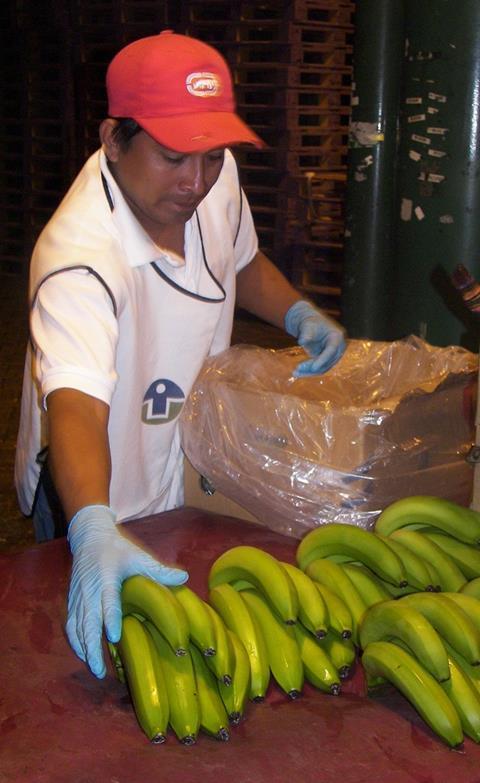 Ecuador legt Bananenpreis fest