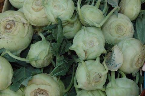 Kamp_Aachen_Kohlrabi_03.JPG
