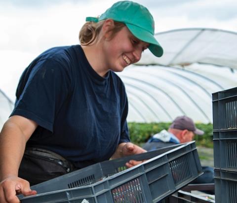 A range of horticultural careers will be promoted