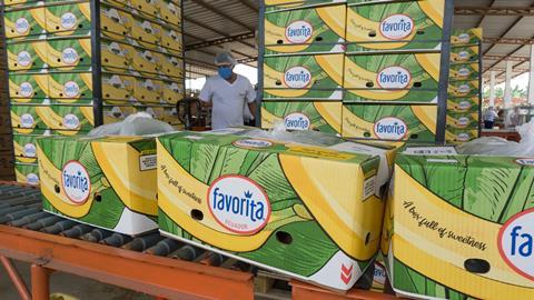 Ecuadorean bananas