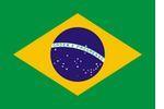 Brasilien_Flagge_06.jpg