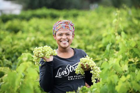 Raisins South Africa grapes