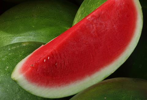 GEN watermelon