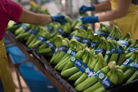 fyffes_esmeralda_banana_packhouse_labelling_sourcing_cluster_dsc_2477 Kopie