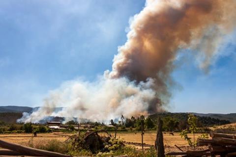 Ein Waldbrand nahe der Stadt Angol in der Region Biobío.      Foto: Natalia - AdobeStock