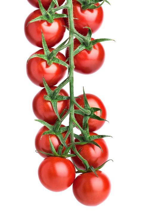 Tomaten