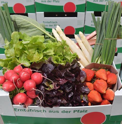 Pfalzmarkt eG Start in Frischgemüse-Saison 2024