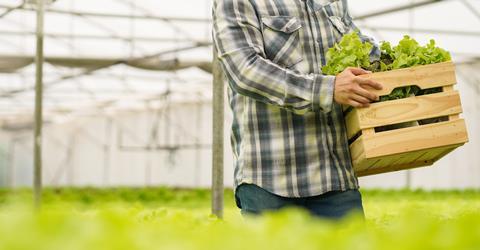 The UK’s self-sufficiency in fresh vegetables is at 53 per cent, the lowest point since records began.