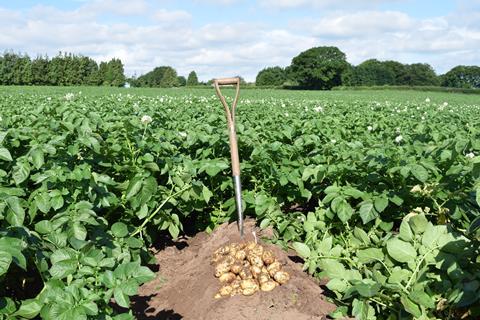 FFF supplies around 1,000 tonnes of fresh prepared produce to some of the UK’s best-known food manufacturers each week