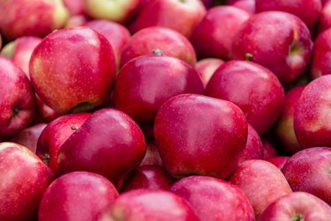 Dazzle apples Mr Apple New Zealand