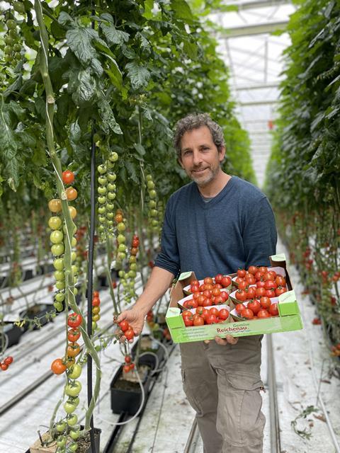 Im Betrieb von Philipp Wurz werden bereits Cherry-Tomaten geerntet. Foto: Reichenau-Gemüse-Vertriebs eG