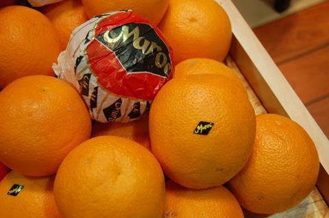 Marokko: Diversifizierung der Citrus-Exporte