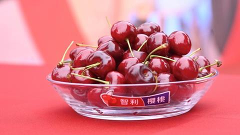 Chilean cherries A